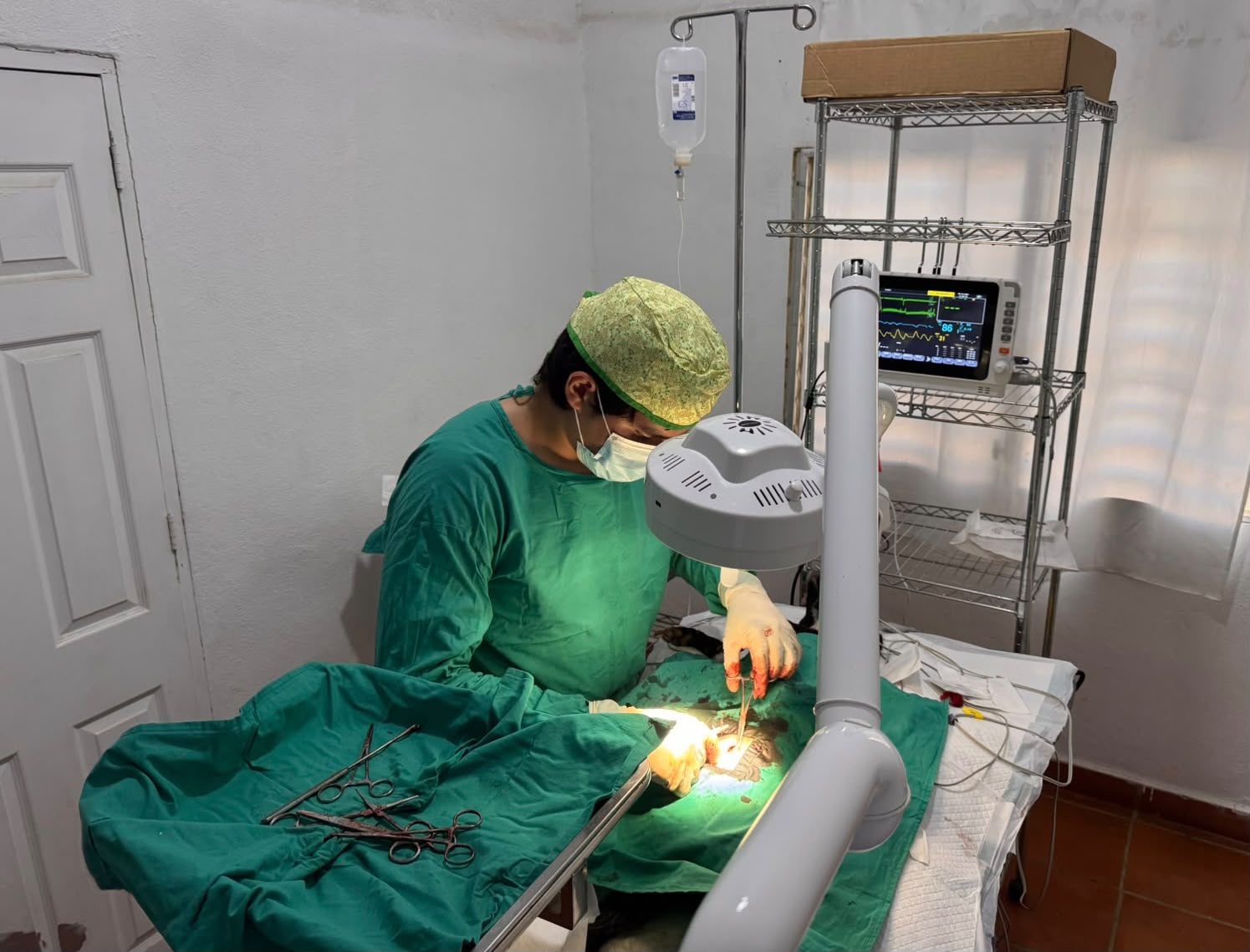 Veterinario con gorro, mascarilla y bata quirúrgica verde operando bajo una lámpara de examinación; detrás, un monitor de signos vitales y un suero colgado